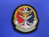 BADGES CAP PEG1